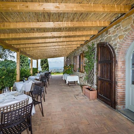 Agriturismo Podere L'Aione Scansano Exterior photo