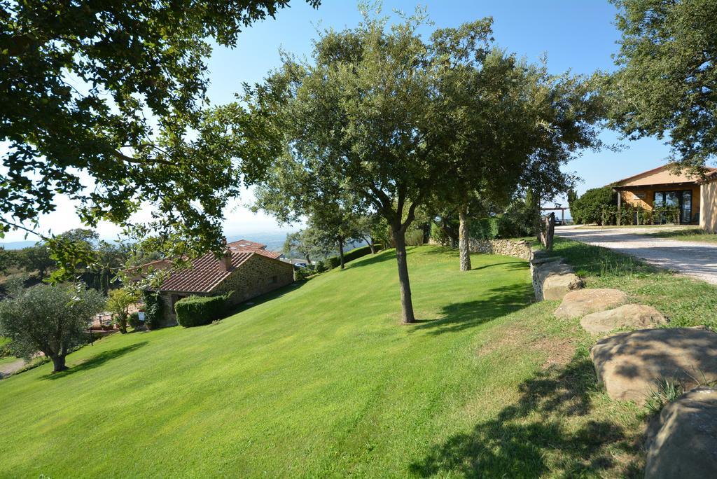 Agriturismo Podere L'Aione Scansano Exterior photo